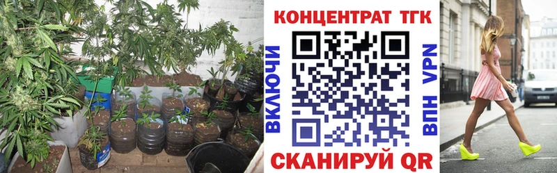 Дистиллят ТГК гашишное масло Могоча