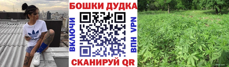 даркнет наркотические препараты Могоча Бошки Шишки VHQ